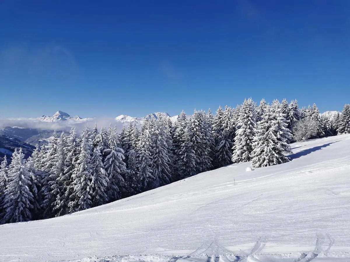 Stallion D15 Megeve