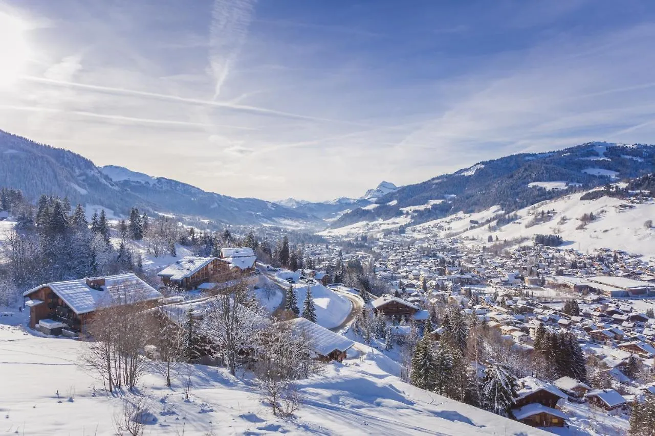 Stallion D15 Megeve